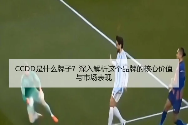 CCDD是什么牌子？深入解析这个品牌的核心价值与市场表现（HTH）