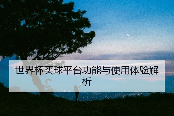 世界杯买球平台功能与使用体验解析