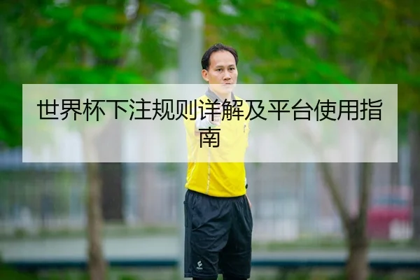 世界杯下注规则详解及平台使用指南