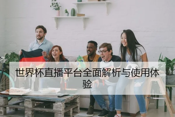 世界杯直播平台全面解析与使用体验